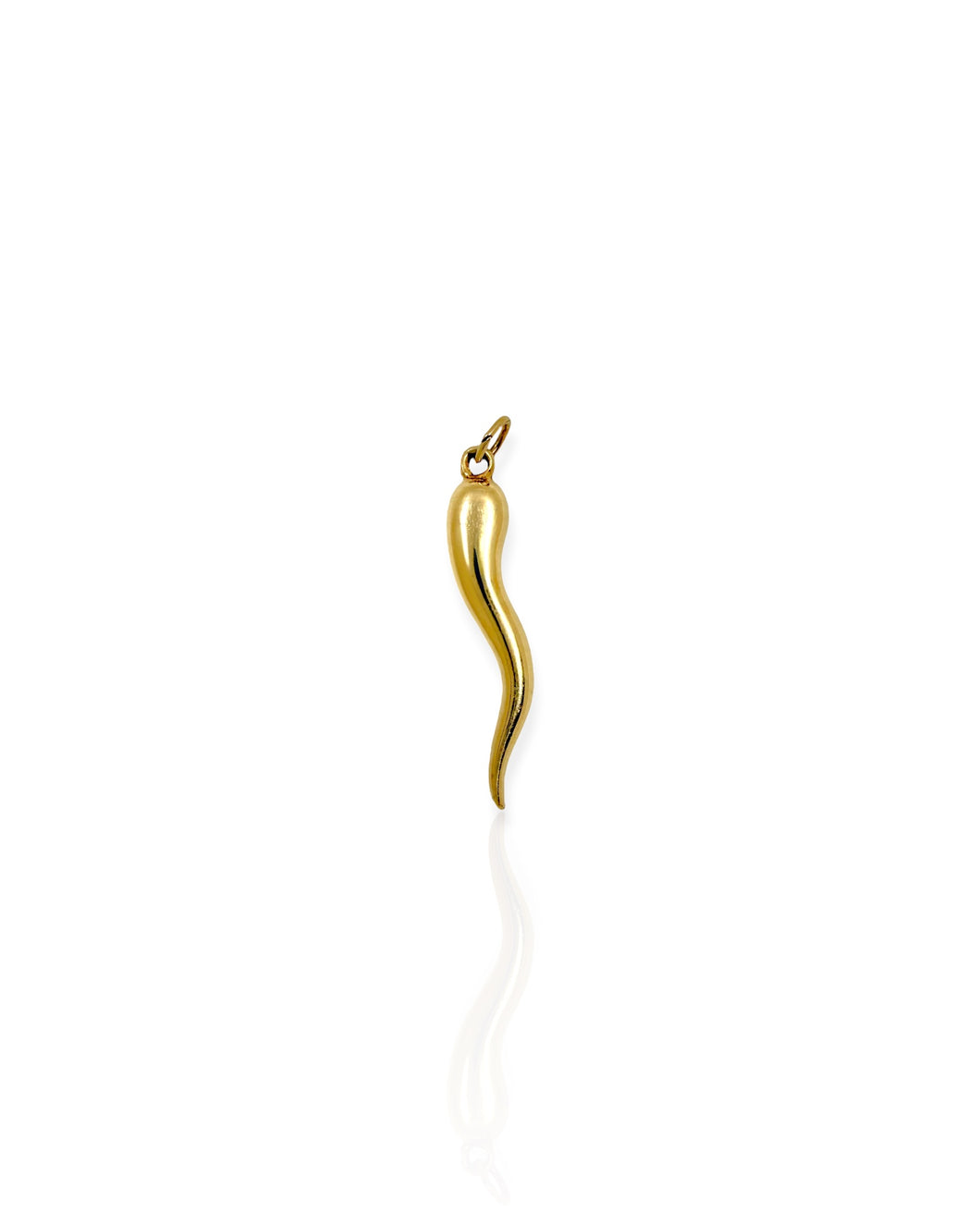 14k Gold Cornicello Charm