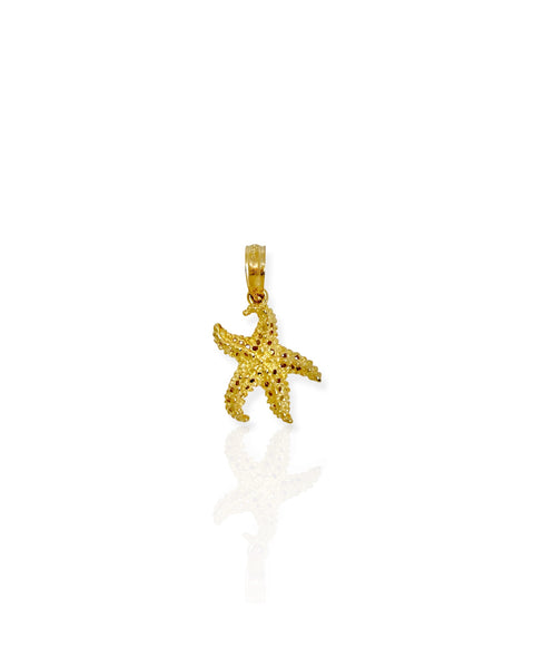 14k Gold Starfish Charm