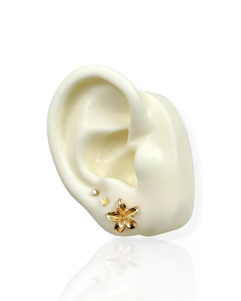 14k Gold Plumeria Earring